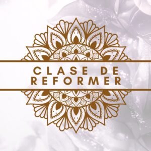 CLASE DE REFORMER