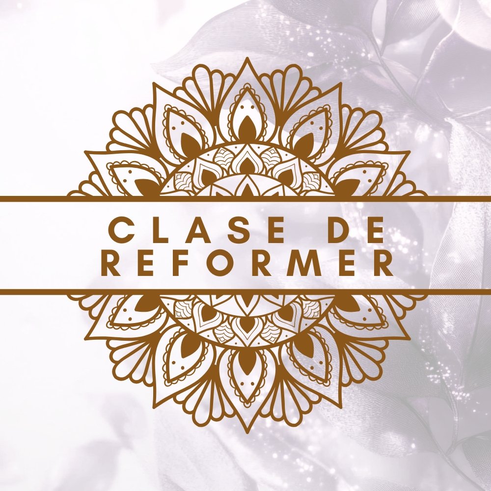 CLASE DE REFORMER